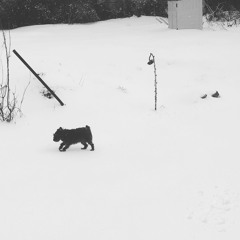 Jett Black White Out