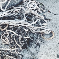 Pedestrian Deposit - What Can't Be Taken (excerpt)