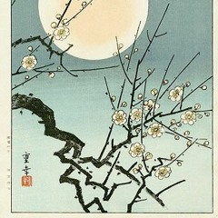 Brighter Side Of Darkness: I'm A Loser