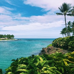 Fall for You - Leela James