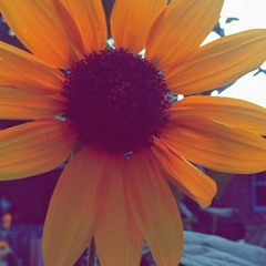 I miss you... Frank Ocean 🖤