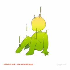 Photonic Afterimage