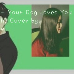 Colde(콜드)-Your Dog Loves You(Feat.Crush)Cover by Conniedenise(코니더니즈)