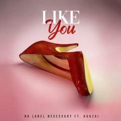 Like You Ft. Kudzai