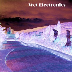 Palmfruits 345 ~ Wet Electronics