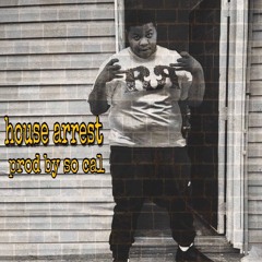 Zone Soprano - House Arrest