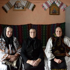 Bocet din Bistrița Năsăud