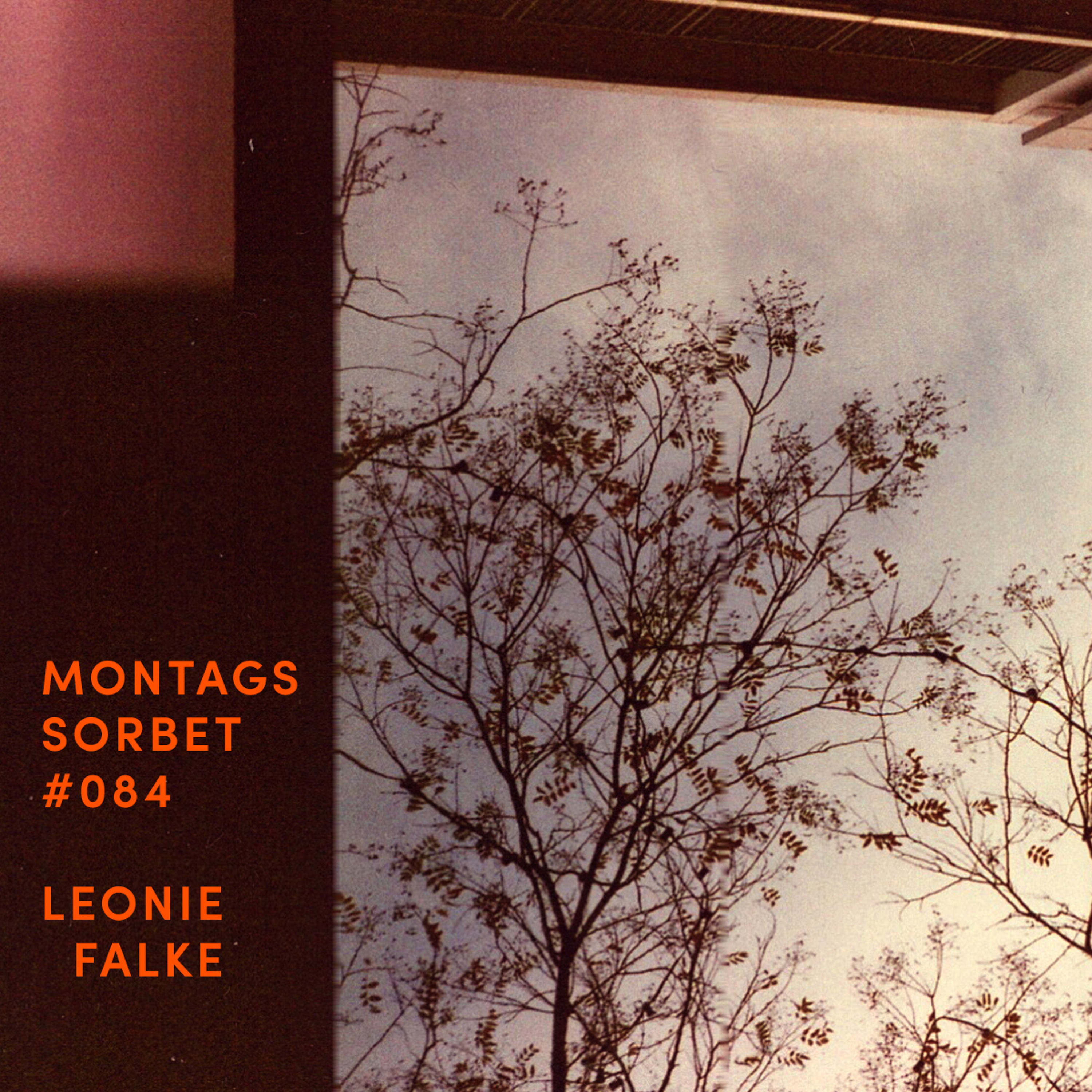 Montagssorbet mit Laut & Luise