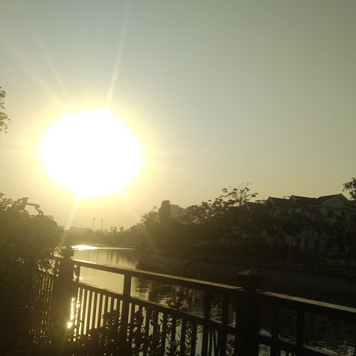 Tầng Thượng 102 - Cá Hồi Hoang