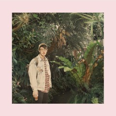 Sloth Brain - Cactus Haus