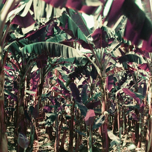 SB PREMIERE: Dampé - Zongo Junction, At Night [Dirt Crew]