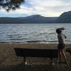 Read My Mind Live Cover (In the style of Van McCann)