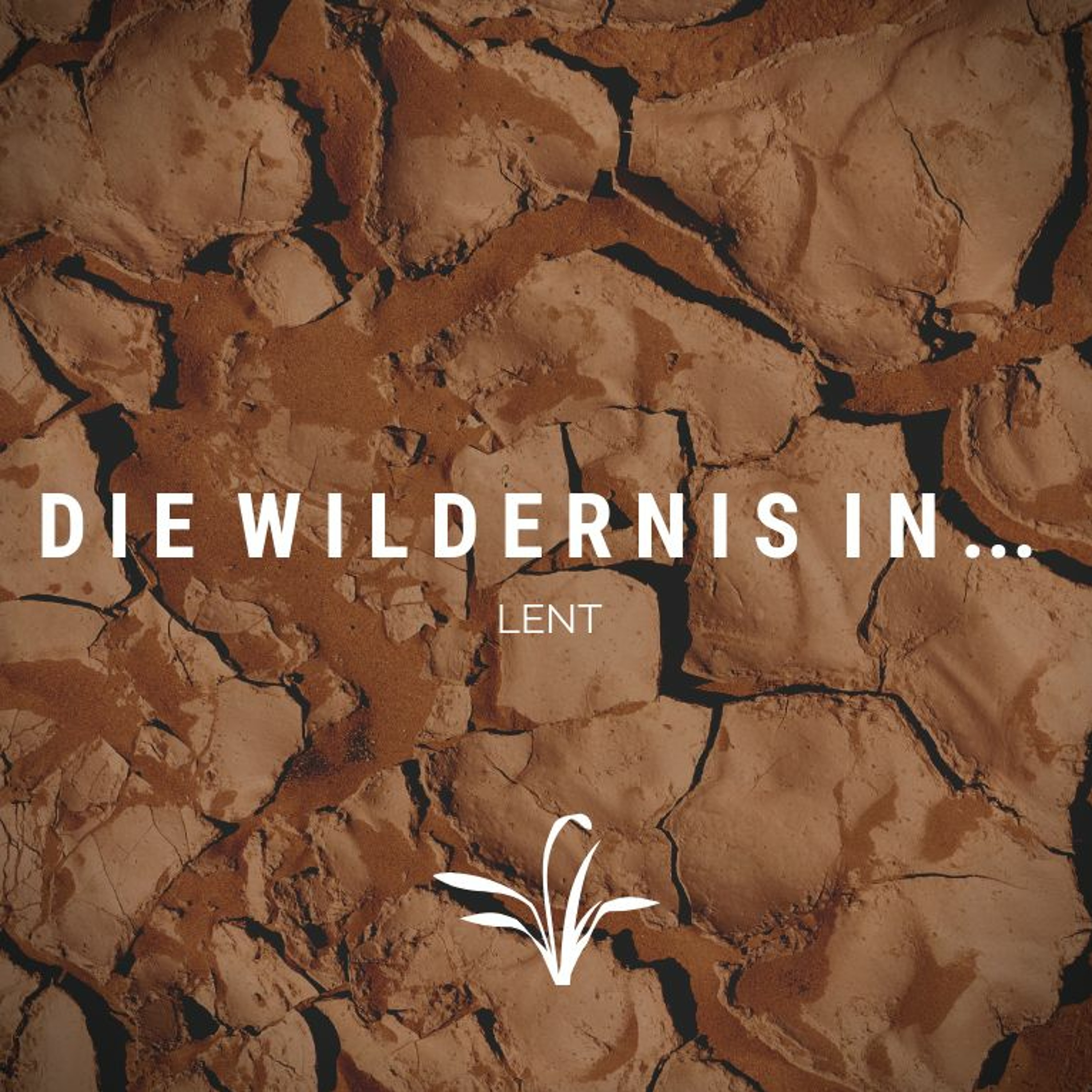 Lent: In Die Wildernis In deur Pierre Du Plessis