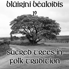 Blúiríní Béaloidis 19 - Sacred Trees In Folk Tradition