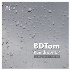 BDTom - Raindrops EP Snippet - Plastic City FX