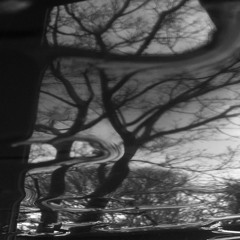 anesthesia