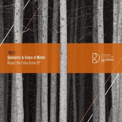 Symmetric & Future Of Matter - Acid Mel