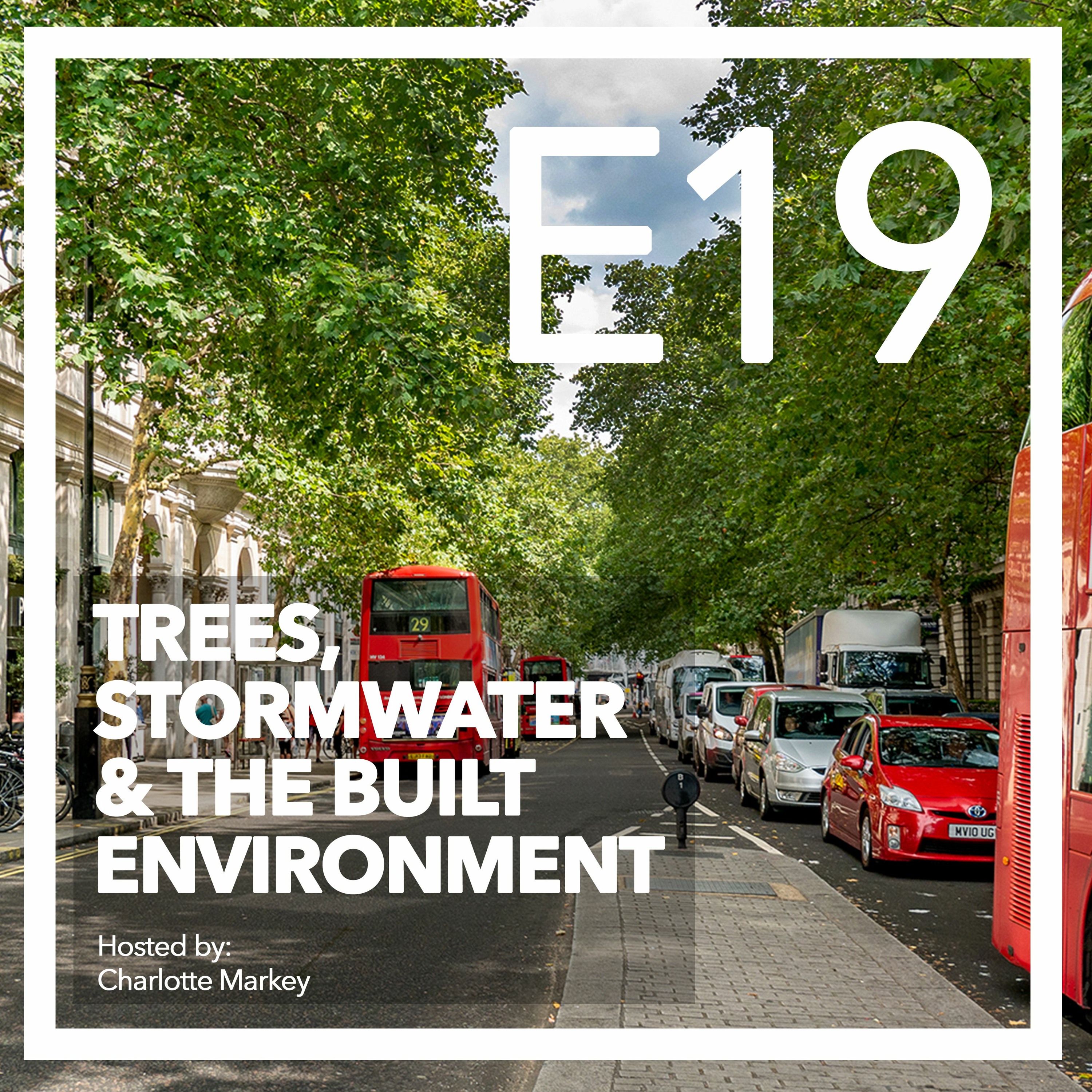 Trees-Stormwater