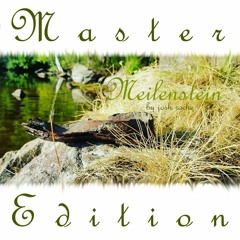 Meilenstein by josh roche