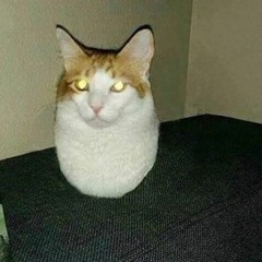 hehe here piggy wiggy xD (shit post 1)