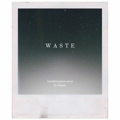 WASTE - BROCKHAMPTON COVER