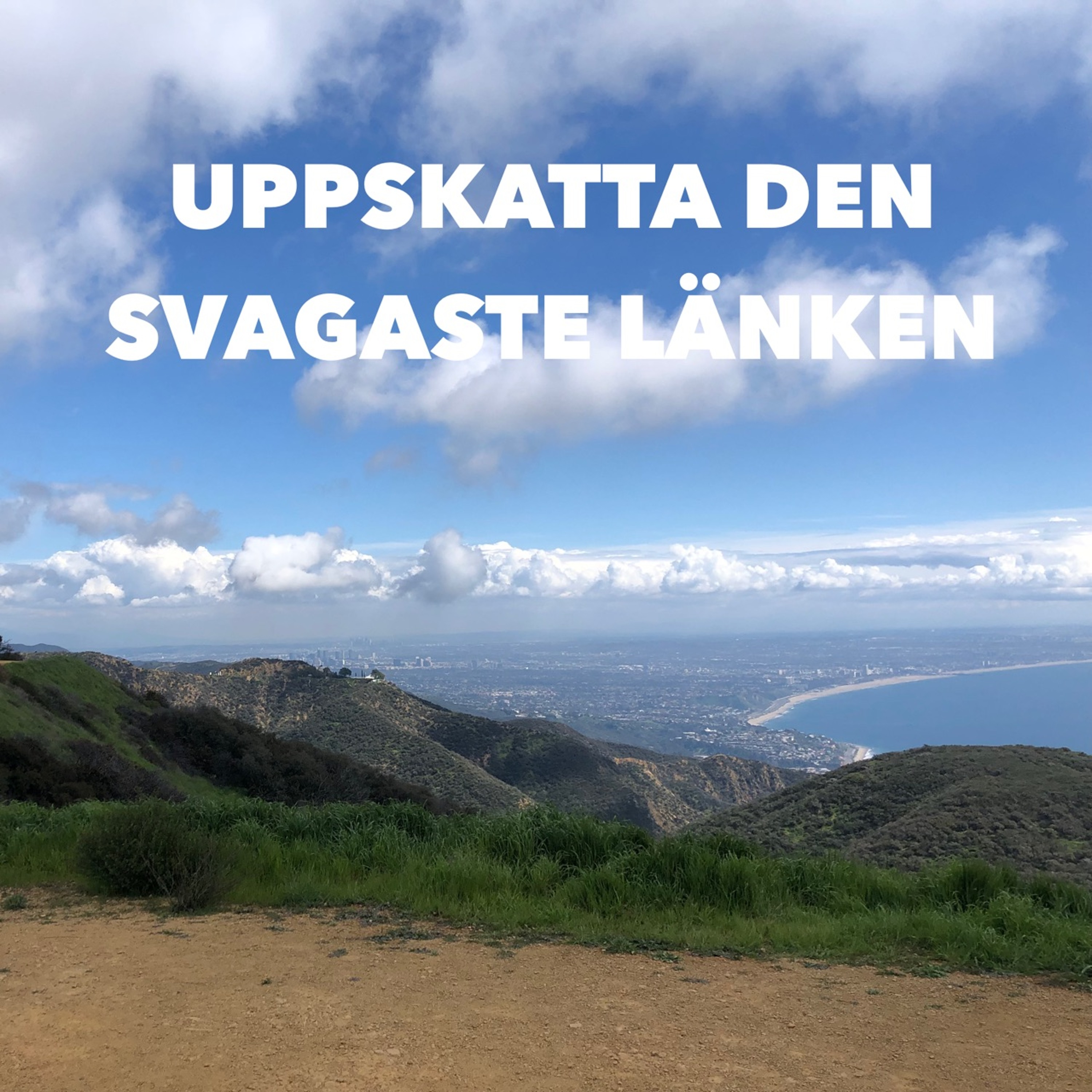 Det kommer att bli bra