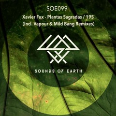 Xavier Fux - Plantas Sagradas (Vapour Remix)