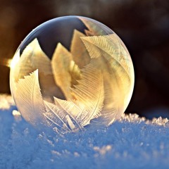 Quatrième Z'eo Toon