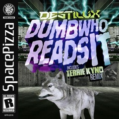 DESTILUX - DUMB WHO READS IT (TERRIE KYND REMIX) [OUT NOW]
