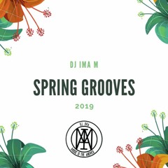 SPRINGROOVES SET 2019 - DJ IMA