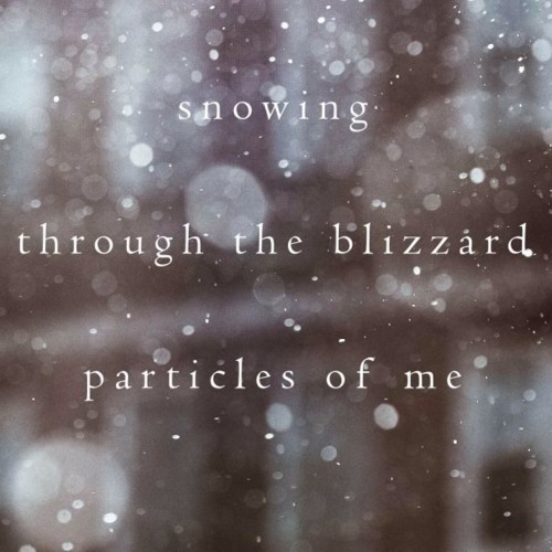 Particle Bloom (naviarhaiku270)