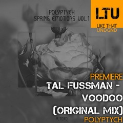 Premiere: Tal Fussman - Voodoo (Original Mix) | Polyptych