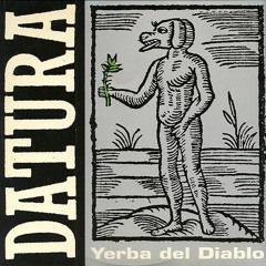 Yerba Del Diablo (Cirillo remix)
