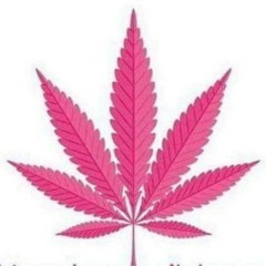 El diablo - Assault(Dj rogo remix)