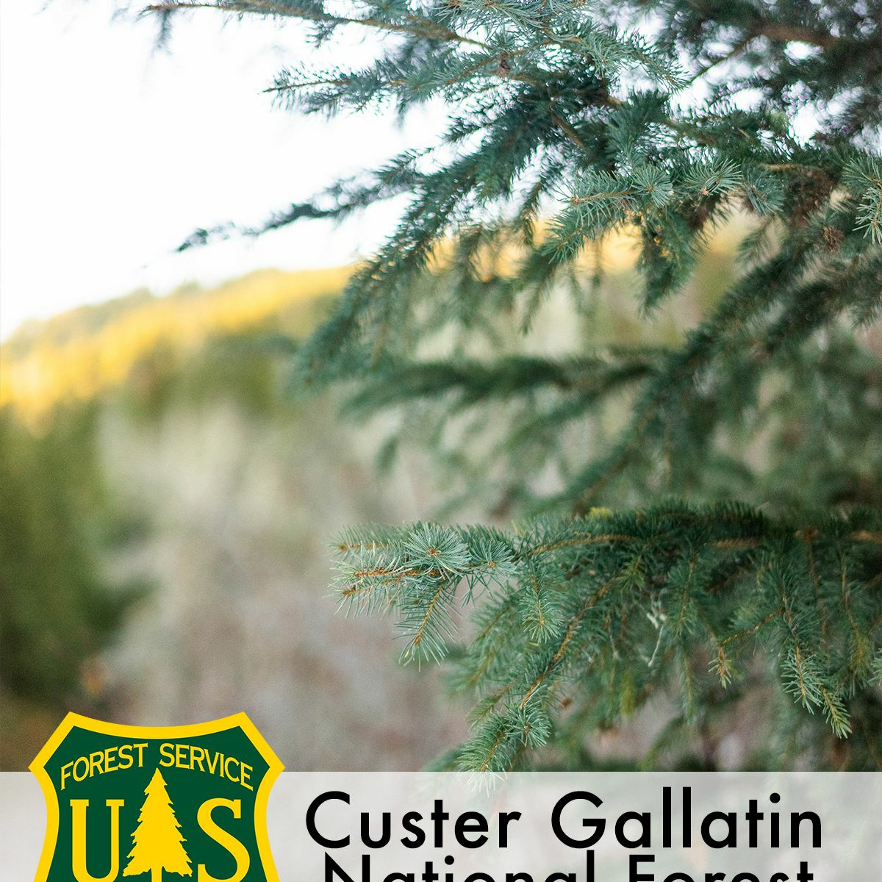 Forest Service Planning Podcast