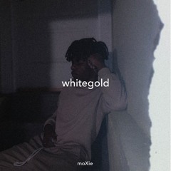 whiterosemoxie- Whitegold