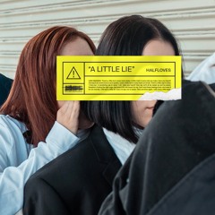 A Little Lie