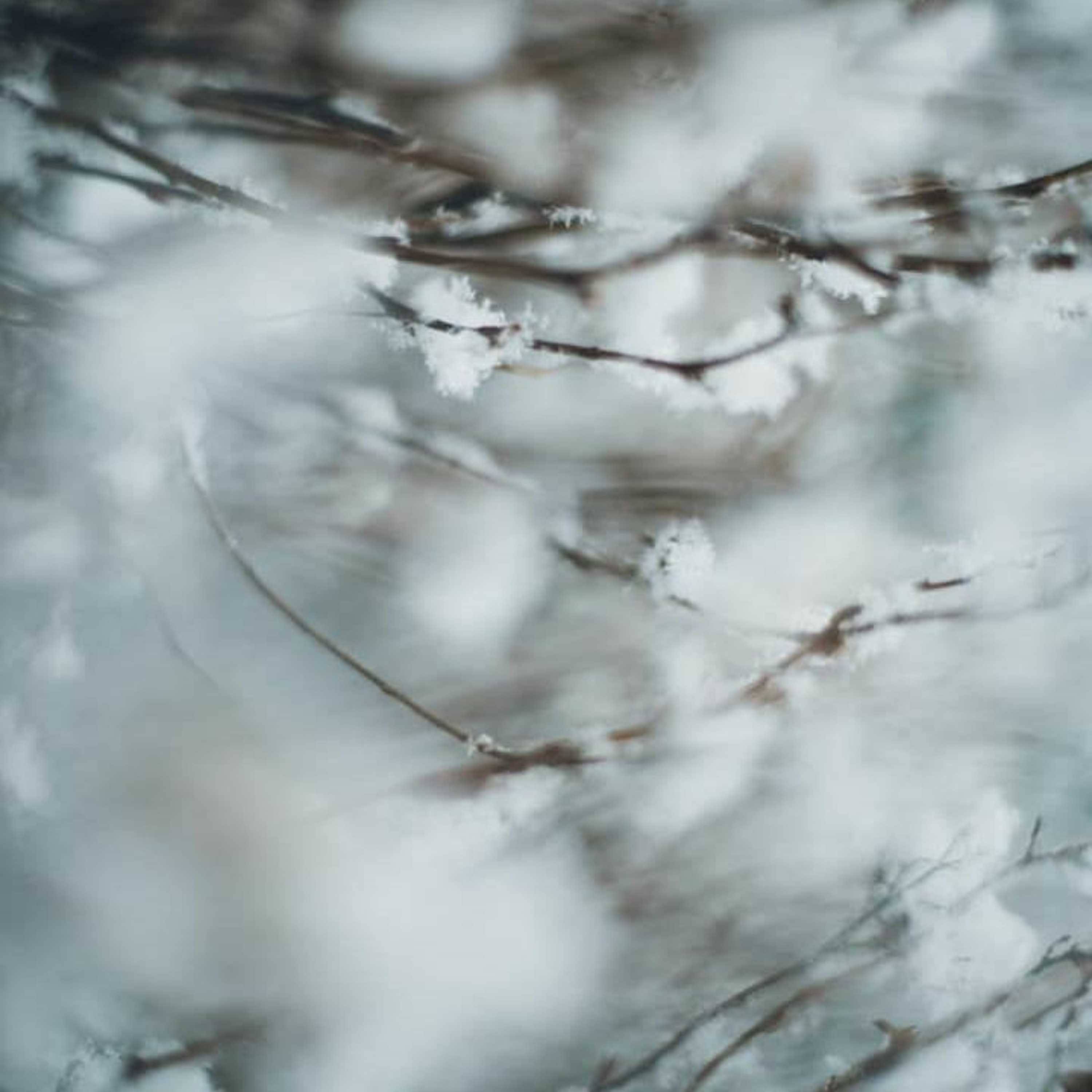 "The Parables of the Arctic Tern, the Dandelions, and Mycelium" by Mark Pratt-Russum episode artwork