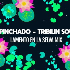 Pinchado - Tribilin Sound - Lamento en La Selva Mix