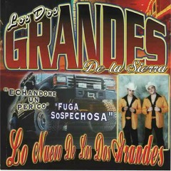 Los Dos Grandes De La Sierra - Eres Tu