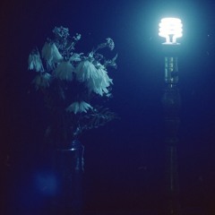 Destroy Your Life (Oby Onyioha)