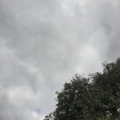 No 3 - 'River to Sea'