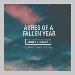 Ashes of a Fallen Year (CC-BY)