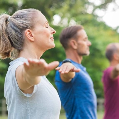 Why is signing up for a meditation class better than self-medicating?