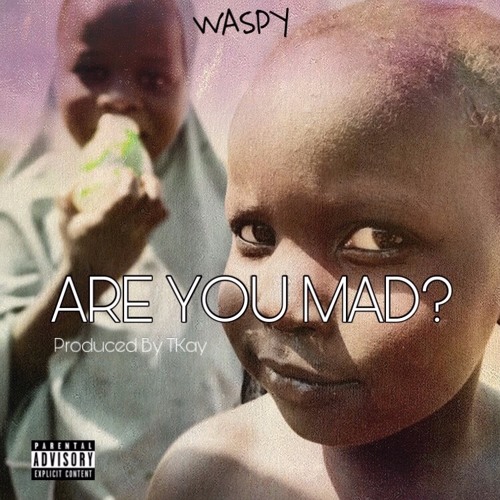 Stream ARE YOU MAD? by WASPY MUSiC | Listen online for free on SoundCloud