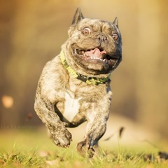 Valentino Khan - Run In Yo Shjt - Mario Toby [Clubbing Mix] *FREE.DL*•[RELEASE]