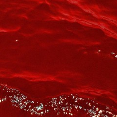 Bloody(Feat. Canhaz, Wavy)(Prod. Scode Beats & Konquest)