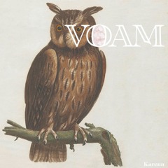 Karenn - Kind Of Green (VOAM001)