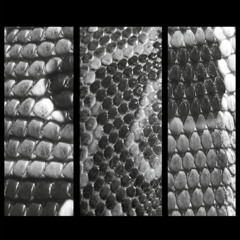 Slow White Fall - Total Ep Preview Clips - Downwards
