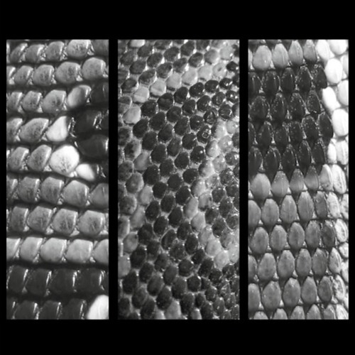 Slow White Fall - Total Ep Preview Clips - Downwards